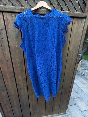 Elegant Royal Blue Lace Women's Dress